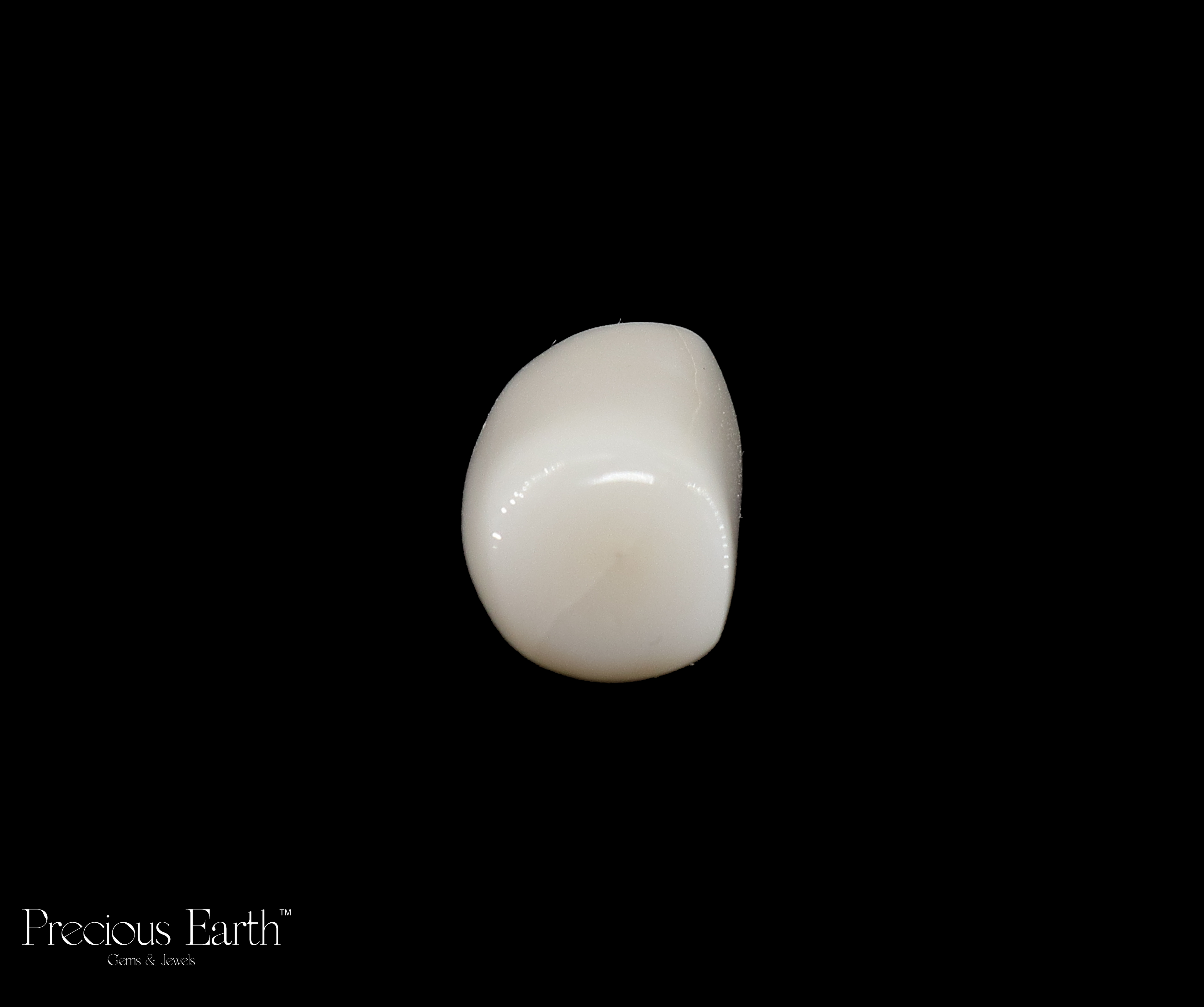 White Coral - 21.92 Carats