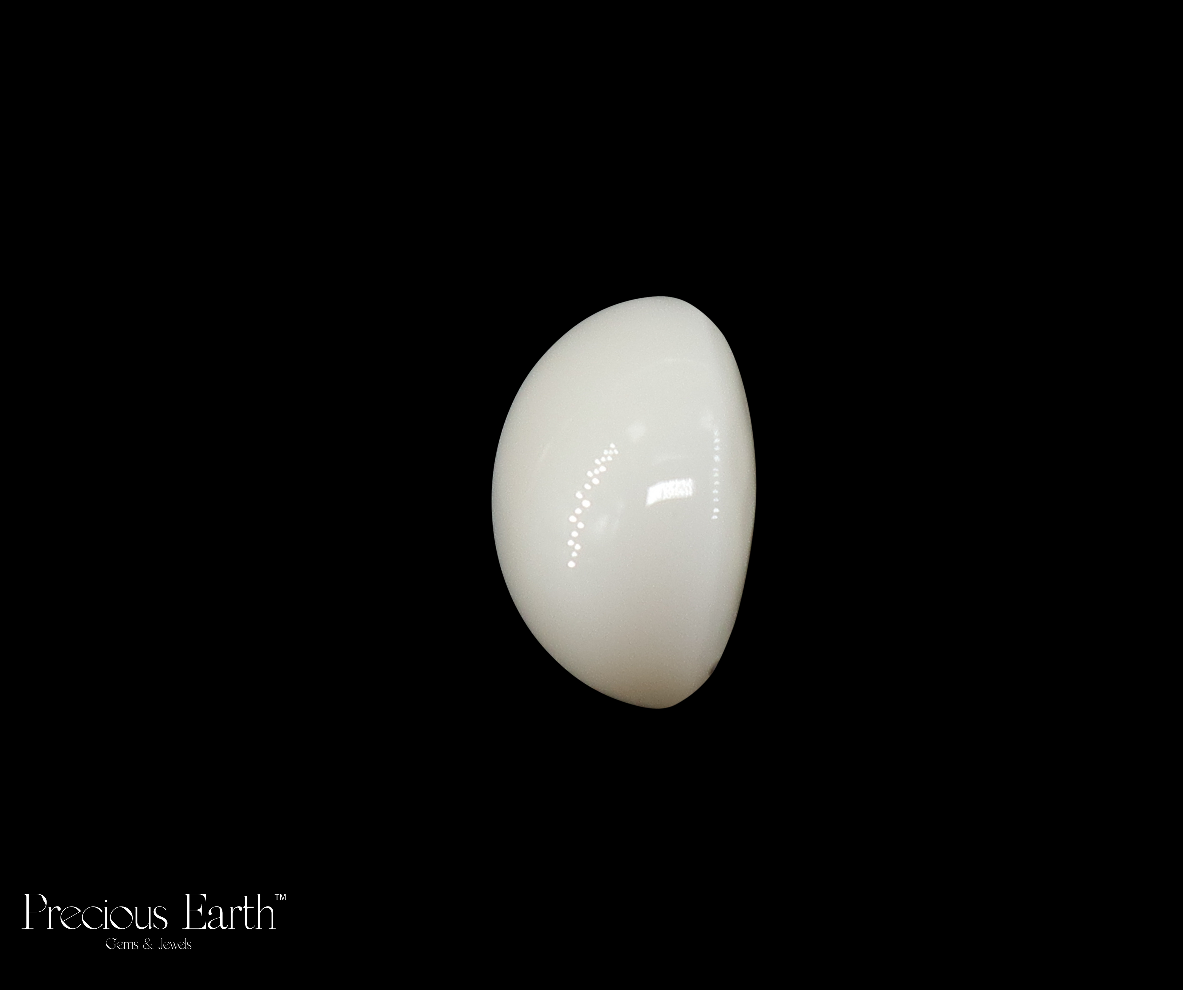 Japanese White Coral - 10.77 Carats