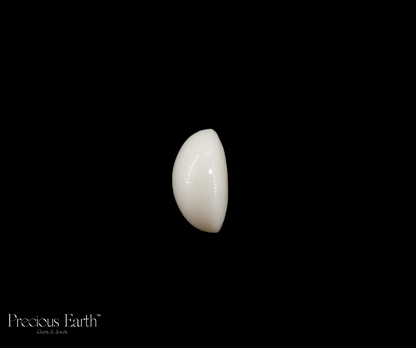 Japanese White Coral - 13.47 Carats