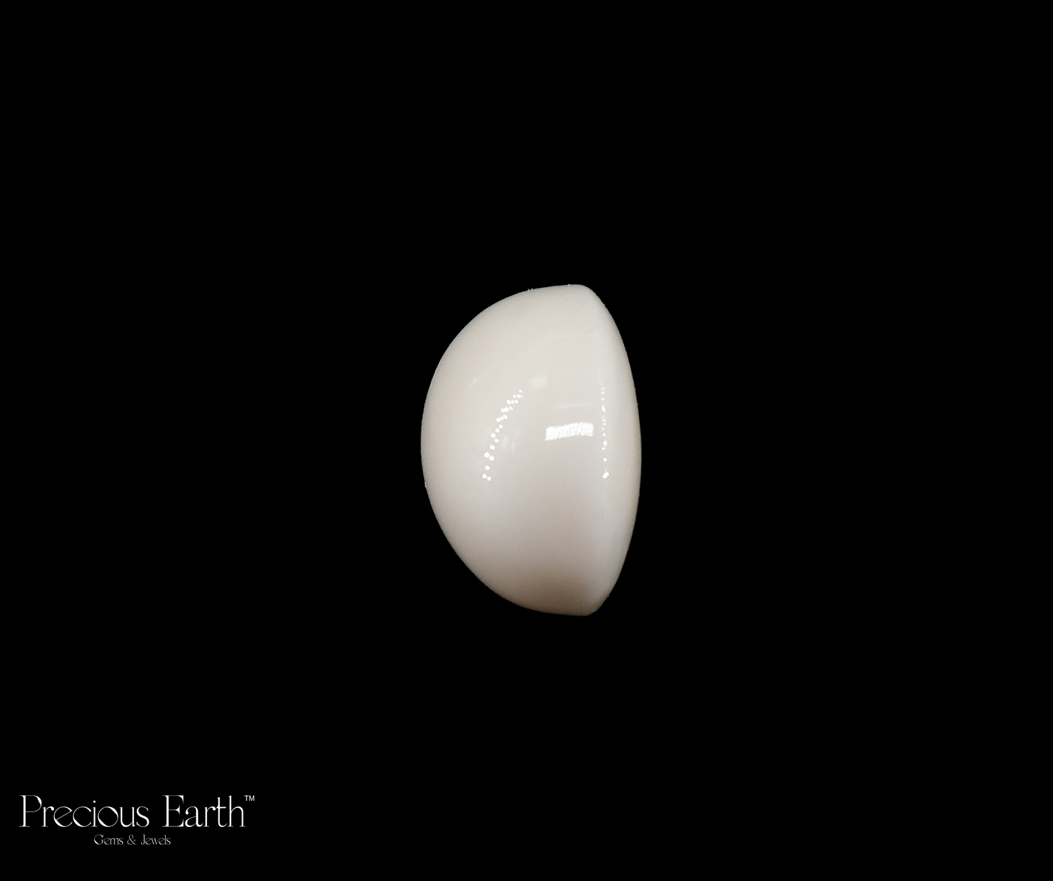 Japanese White Coral - 16.02 Carats