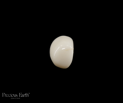 White Coral - 20.27 Carats