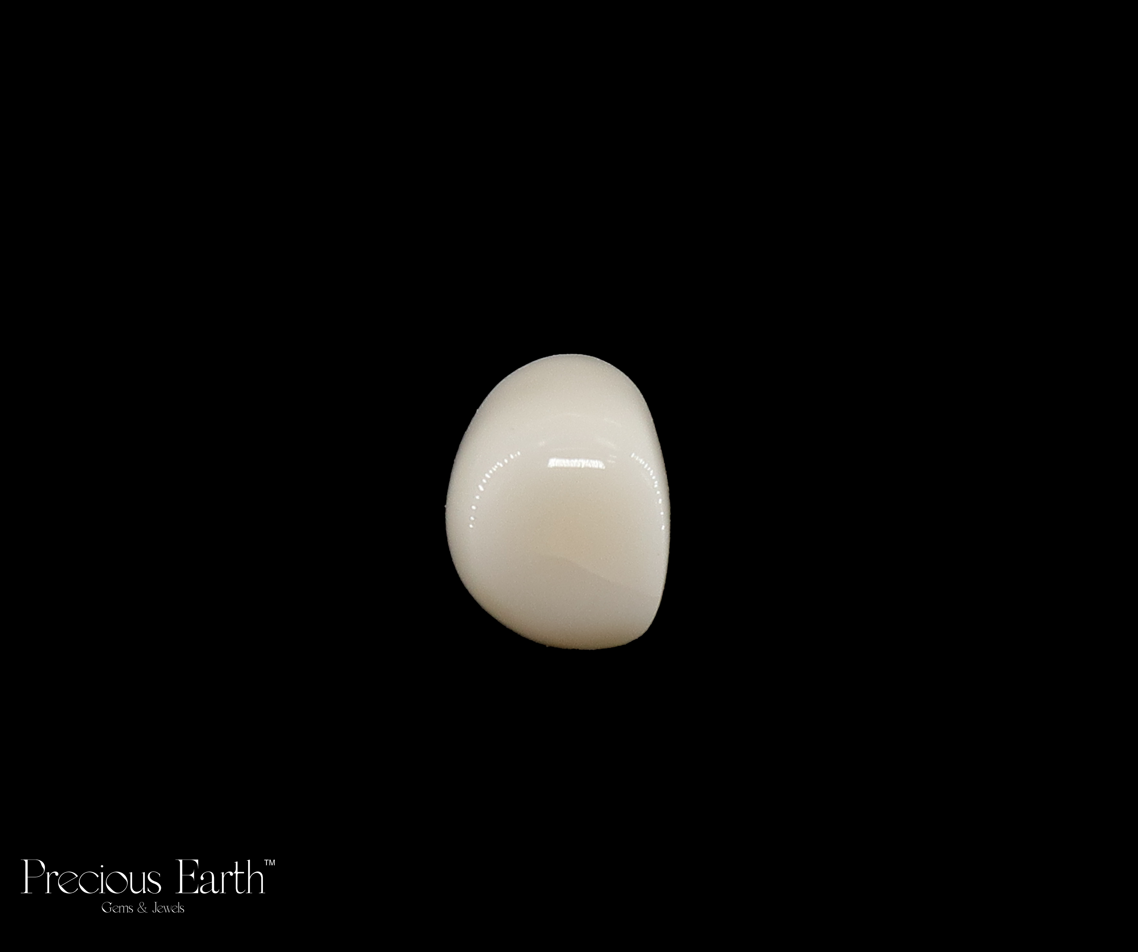 White Coral - 11.95 Carats