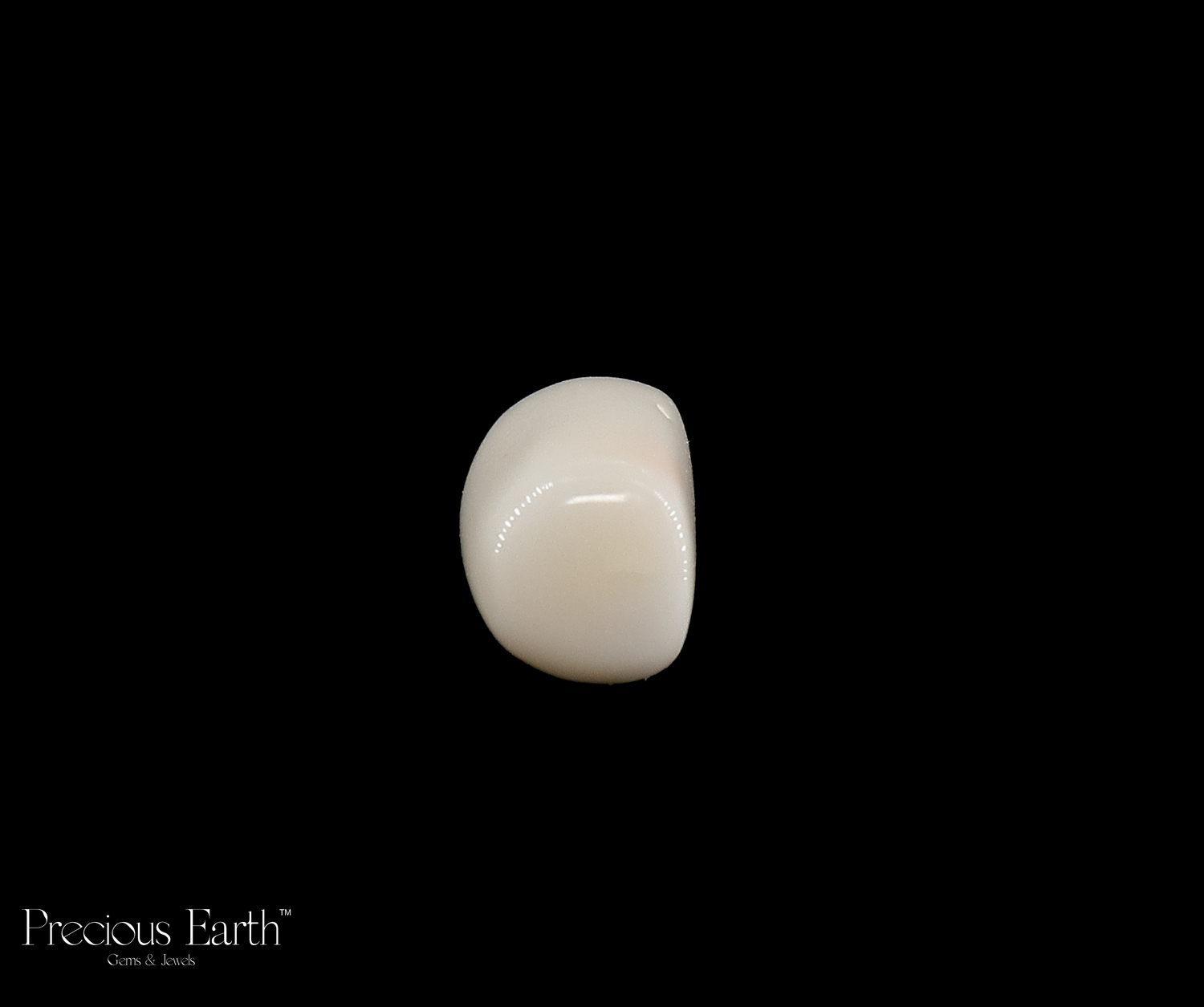 White Coral - 13.02 Carats