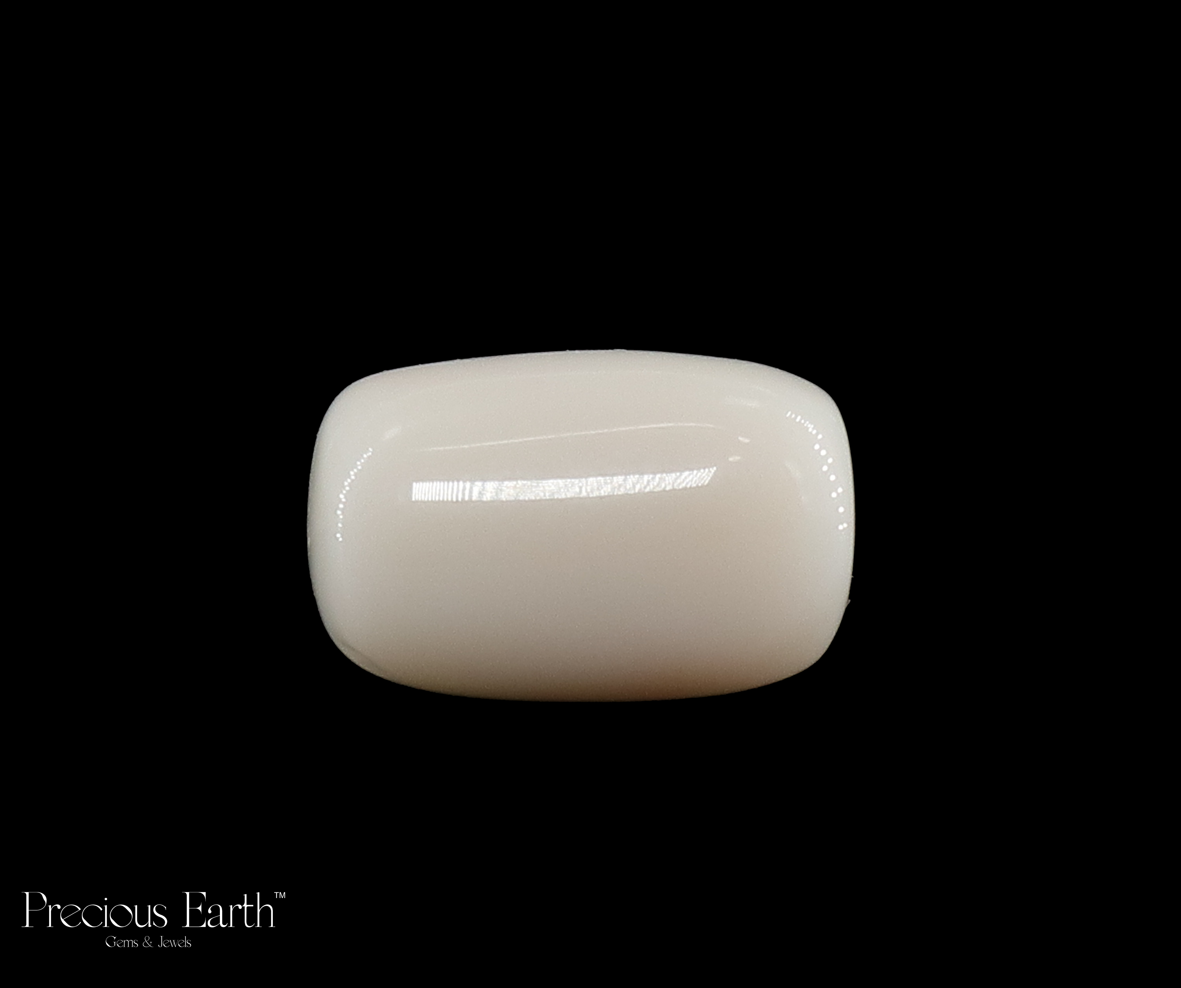 White Coral - 15.90 Carats