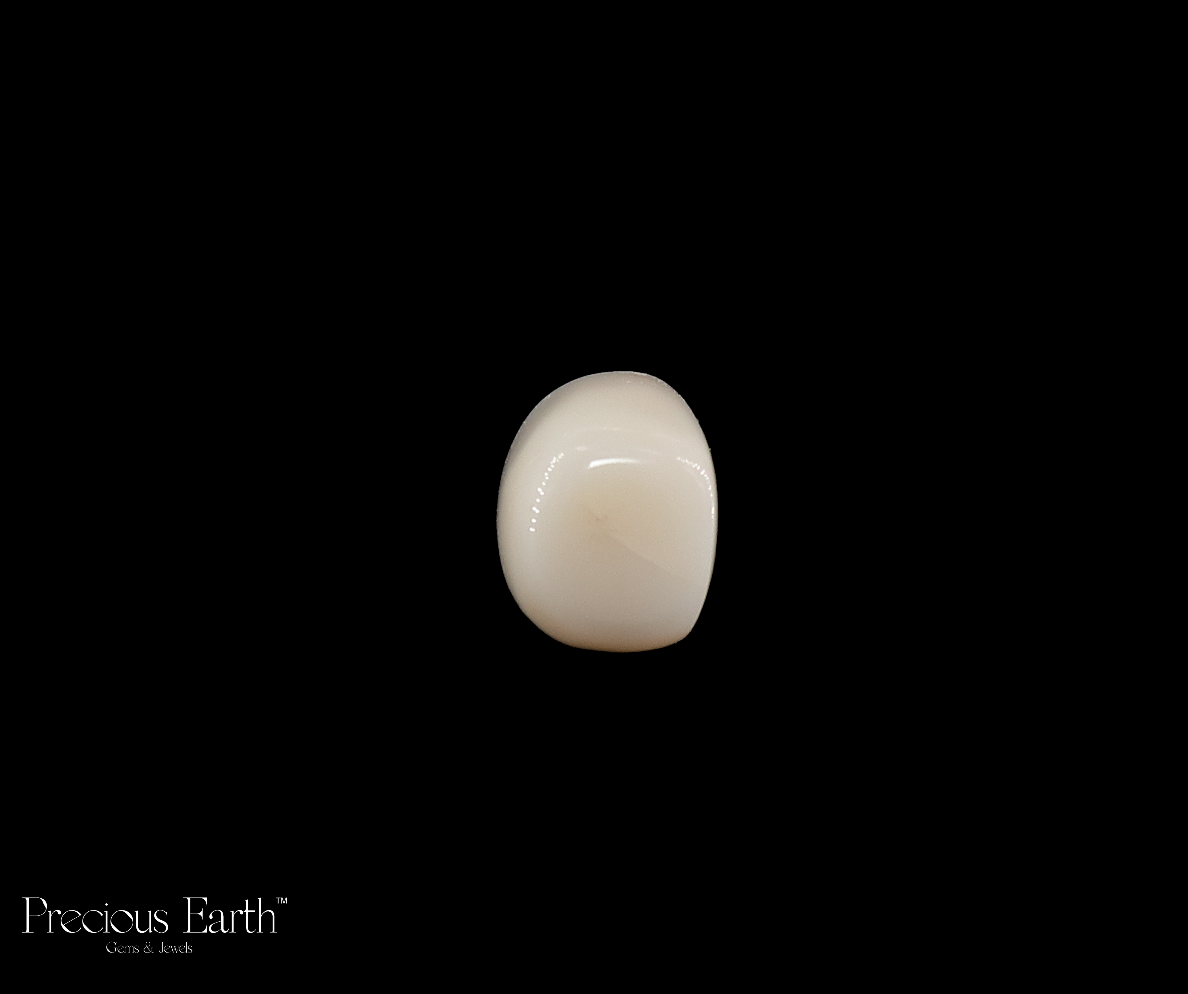 White Coral - 15.90 Carats