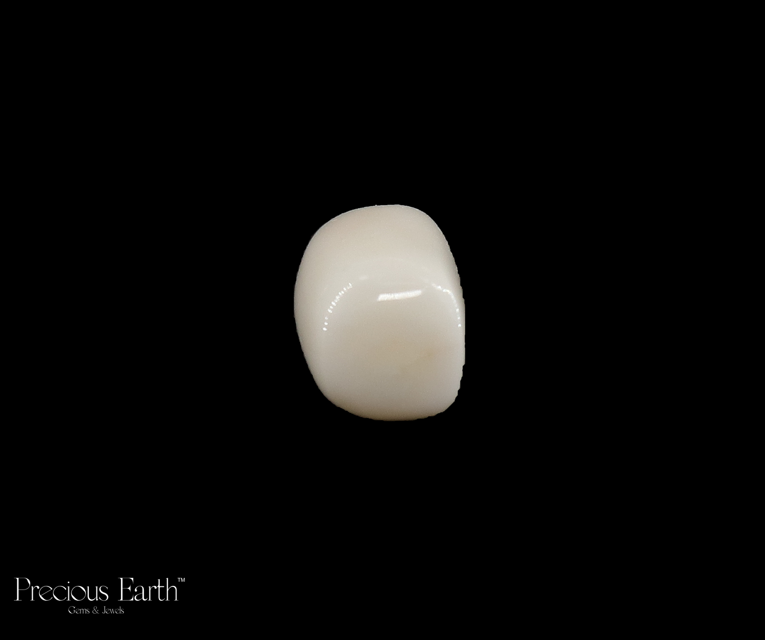 White Coral - 16.77 Carats