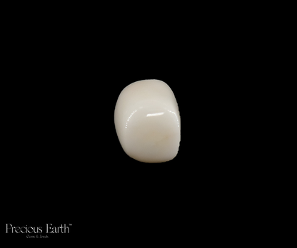 White Coral - 16.77 Carats