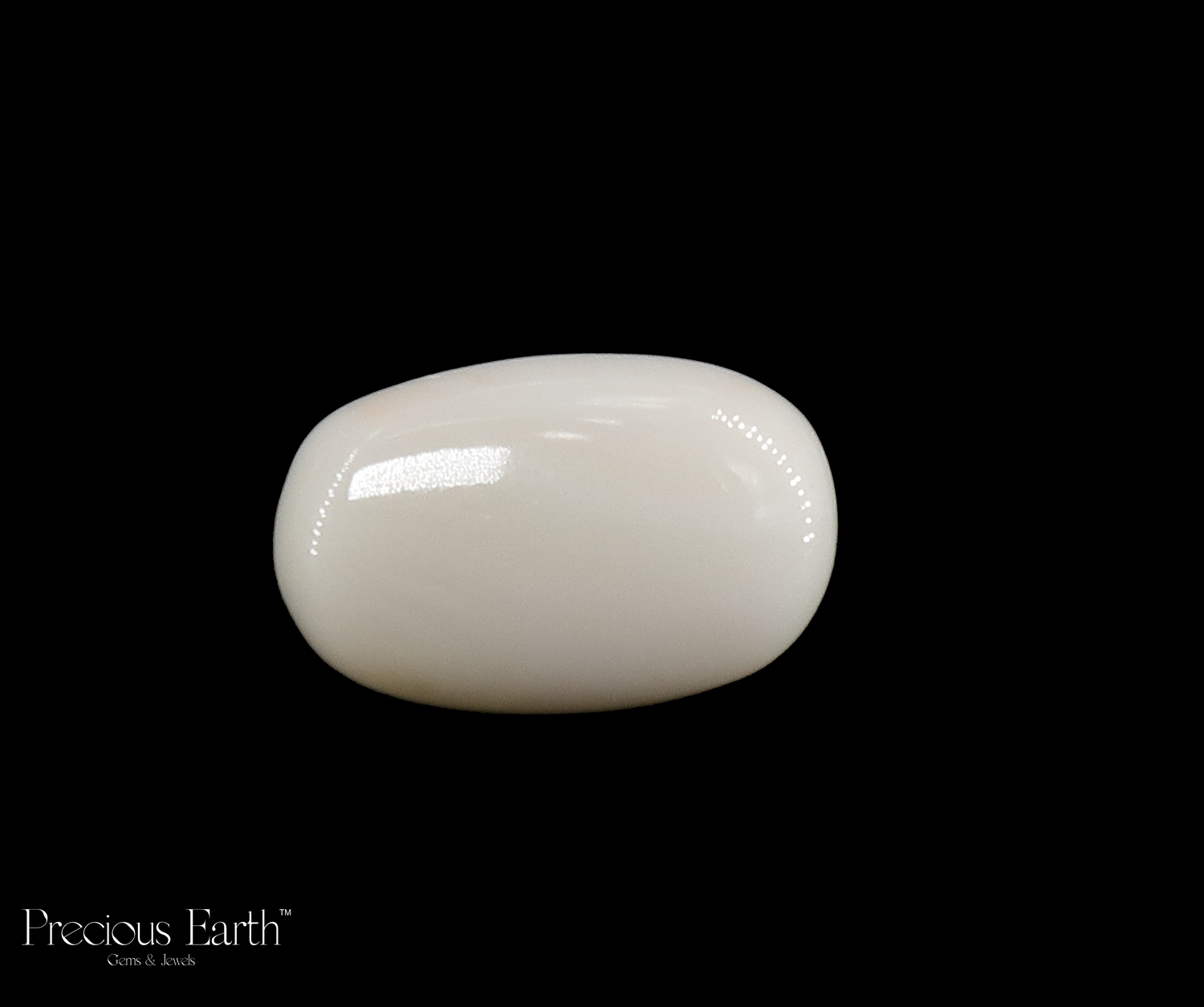 White Coral - 12.36 Carats