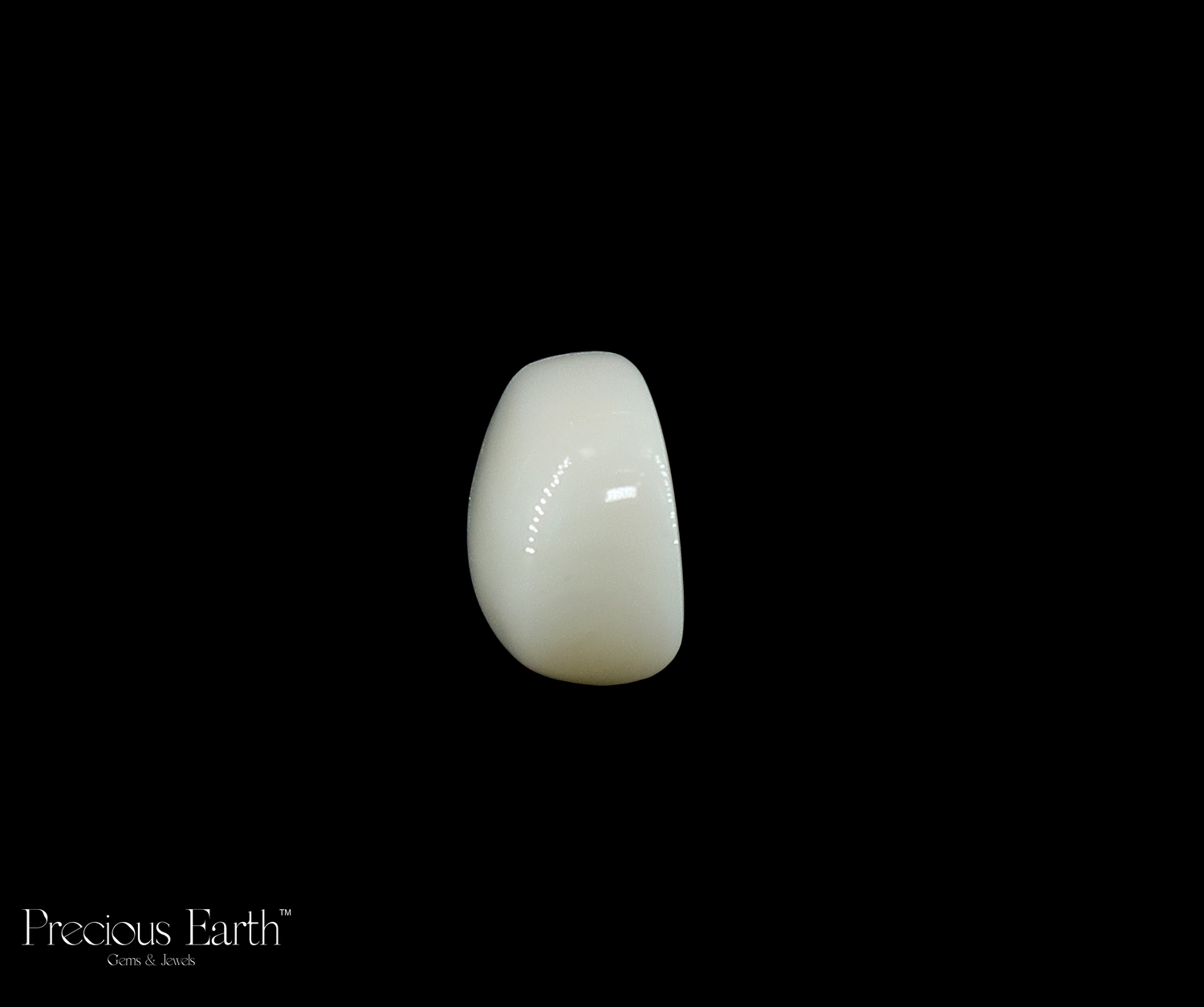 White Coral - 12.36 Carats