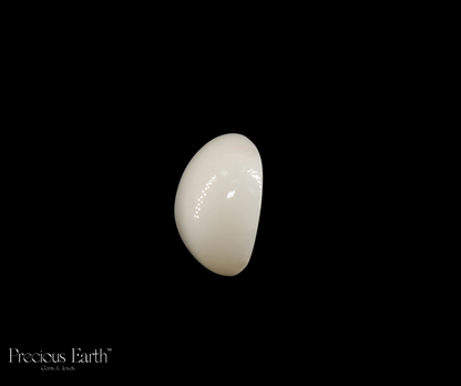 White Coral - 14.06 Carats