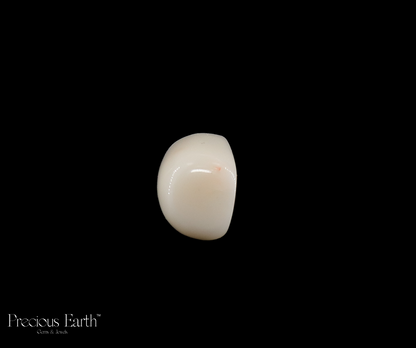 White Coral - 16.59 Carats