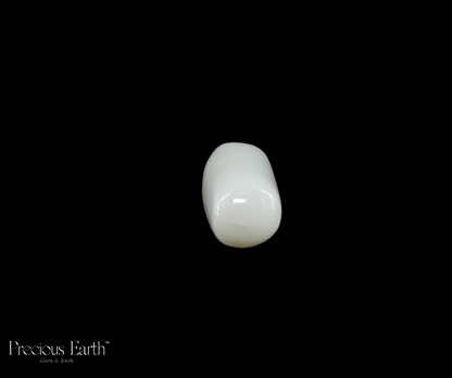 White Coral - 11.97 Carats