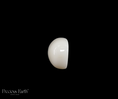 White Coral - 16.31 Carats