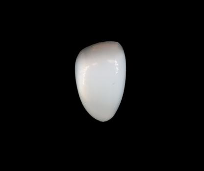 White Moonstone - 16.20 Carats