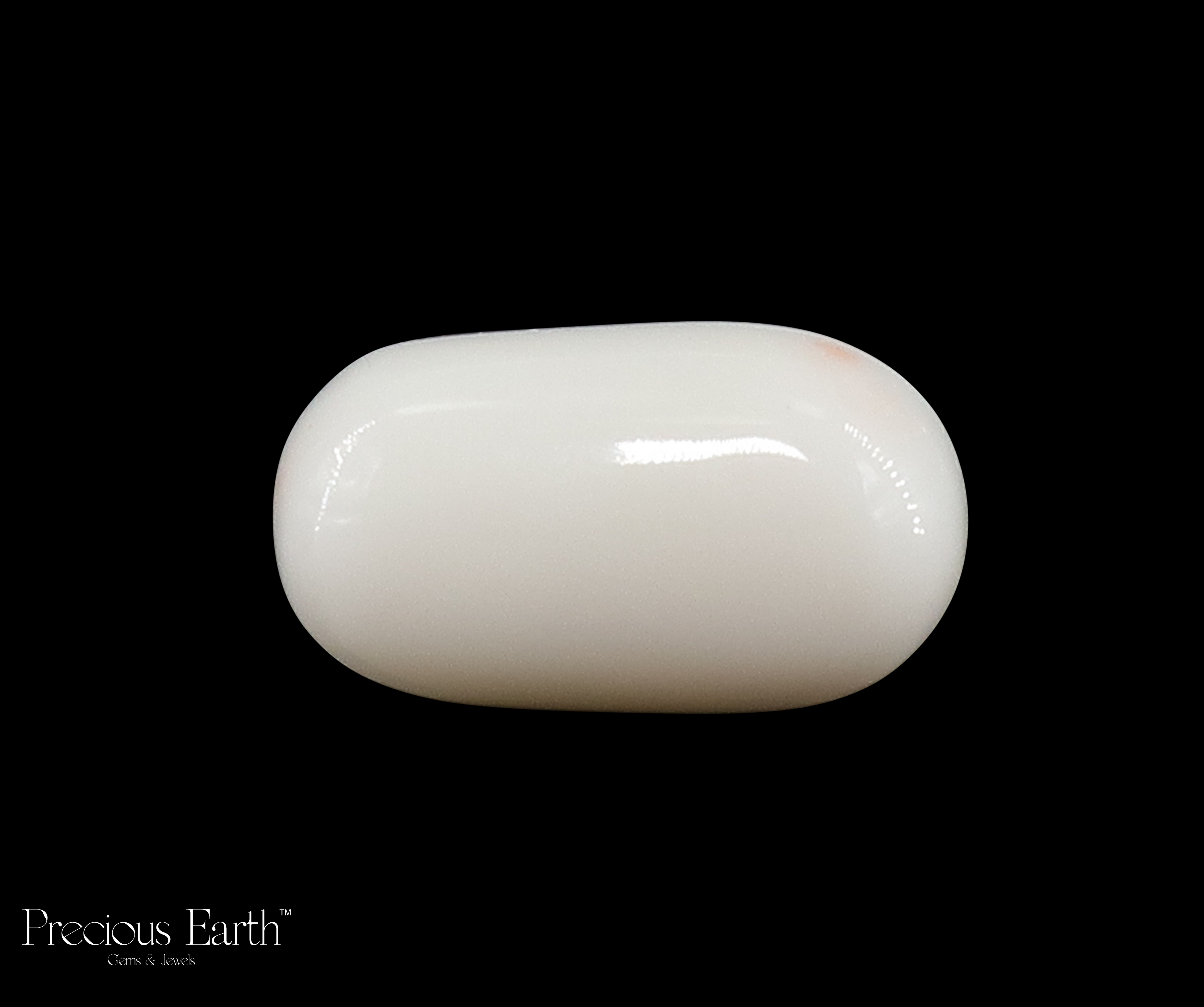 White Coral - 11.79 Carats