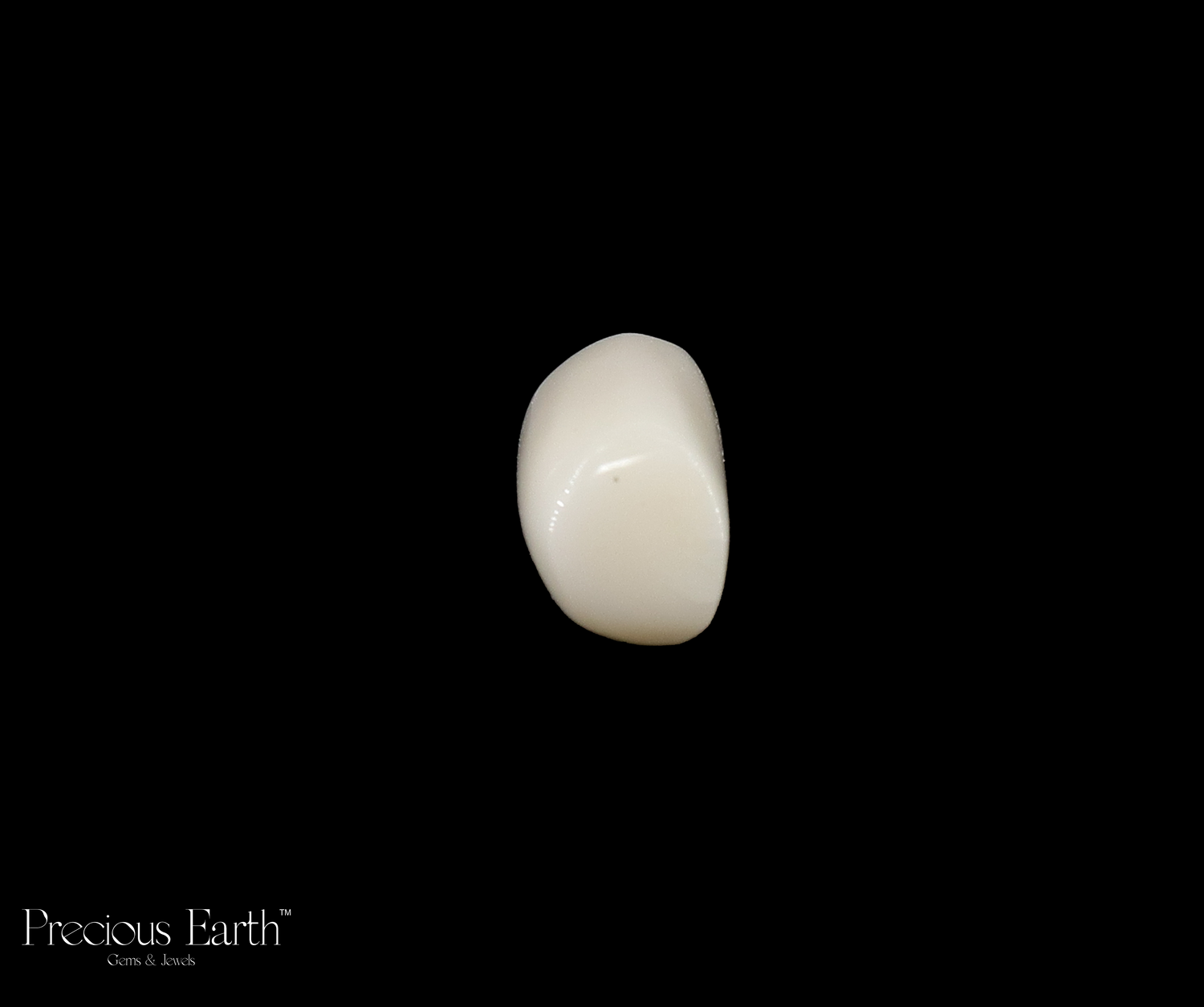 White Coral - 13.09 Carats