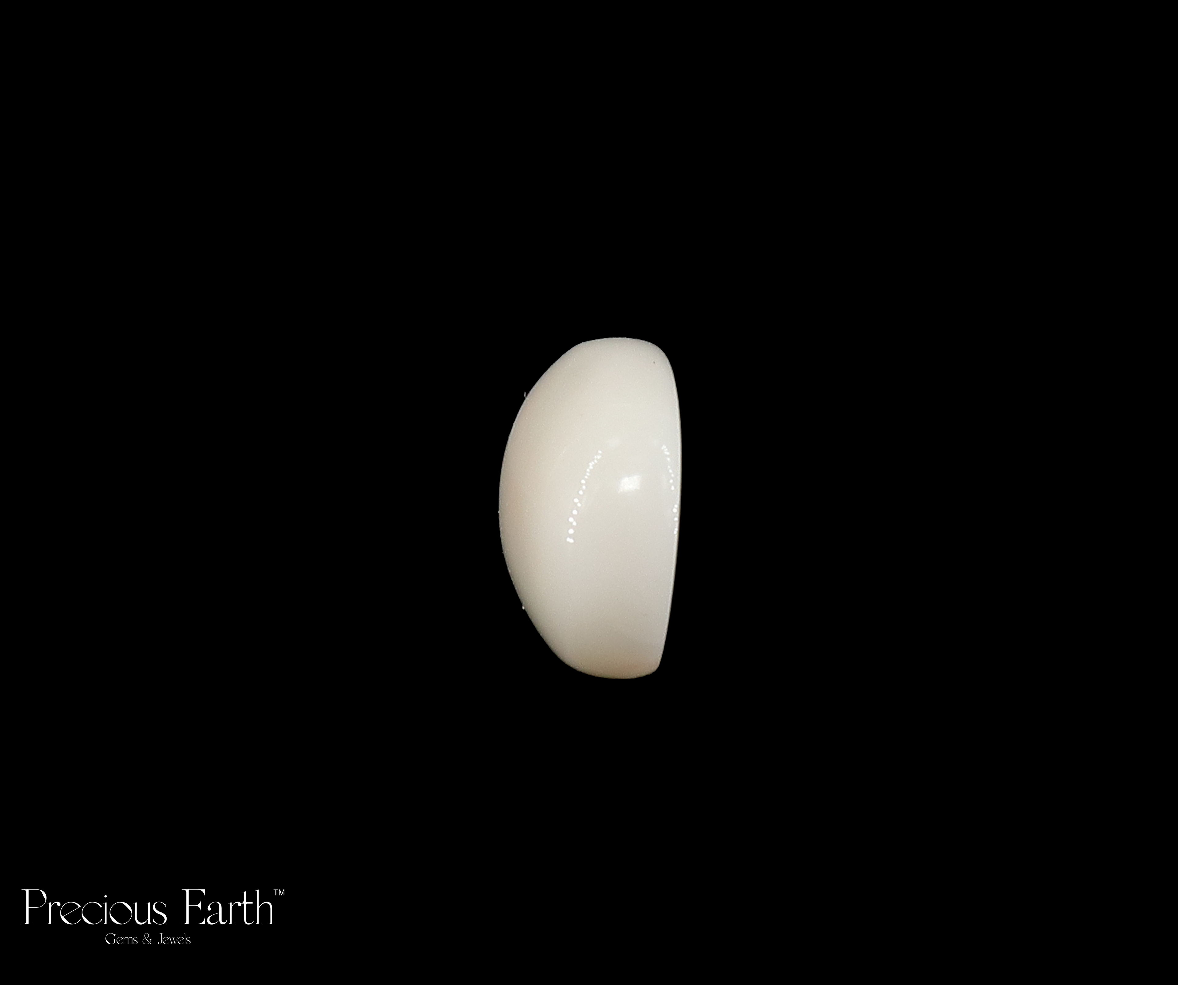 White Coral - 11.94 Carats