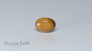 Tiger Eye - 8.71 Carats