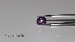 Star Sapphire - 6.02 Carats