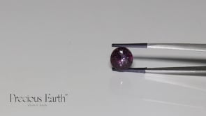 Star Sapphire - 8.19 Carats