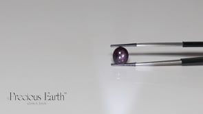 Star Sapphire - 9.84 Carats