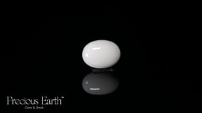 Japanese White Coral - 11.59 Carats