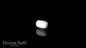 White Coral - 11.95 Carats