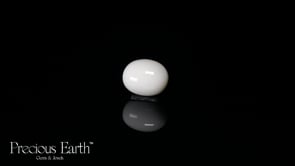 Japanese White Coral - 12.06 Carats