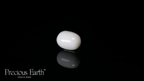 White Coral - 15.68 Carats