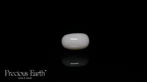 White Coral - 15.77 Carats