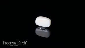 White Coral - 16.59 Carats