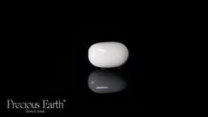 White Coral - 17.69 Carats