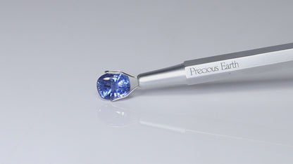 Blue Sapphire - 5.31 Carat