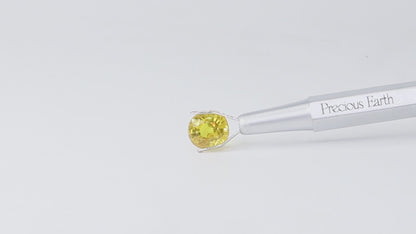 Yellow Sapphire - 4.00 Carats (Thailand)