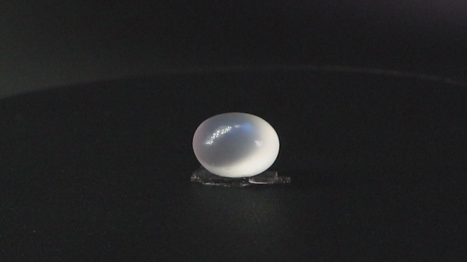 Blue Moonstone - 7.91 Carats