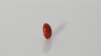 Japanese Red Coral - 7.68 Carats