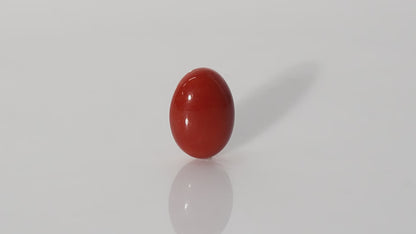 Japanese Red Coral - 19.73 Carats