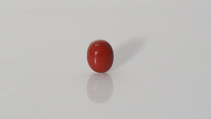 Italian Red Coral - 14.08 Carats