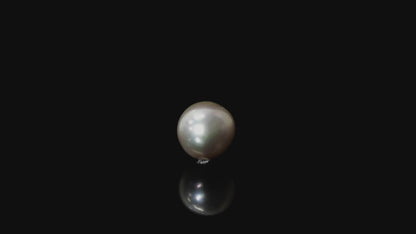 South Sea Pearl - 14.17 Carats