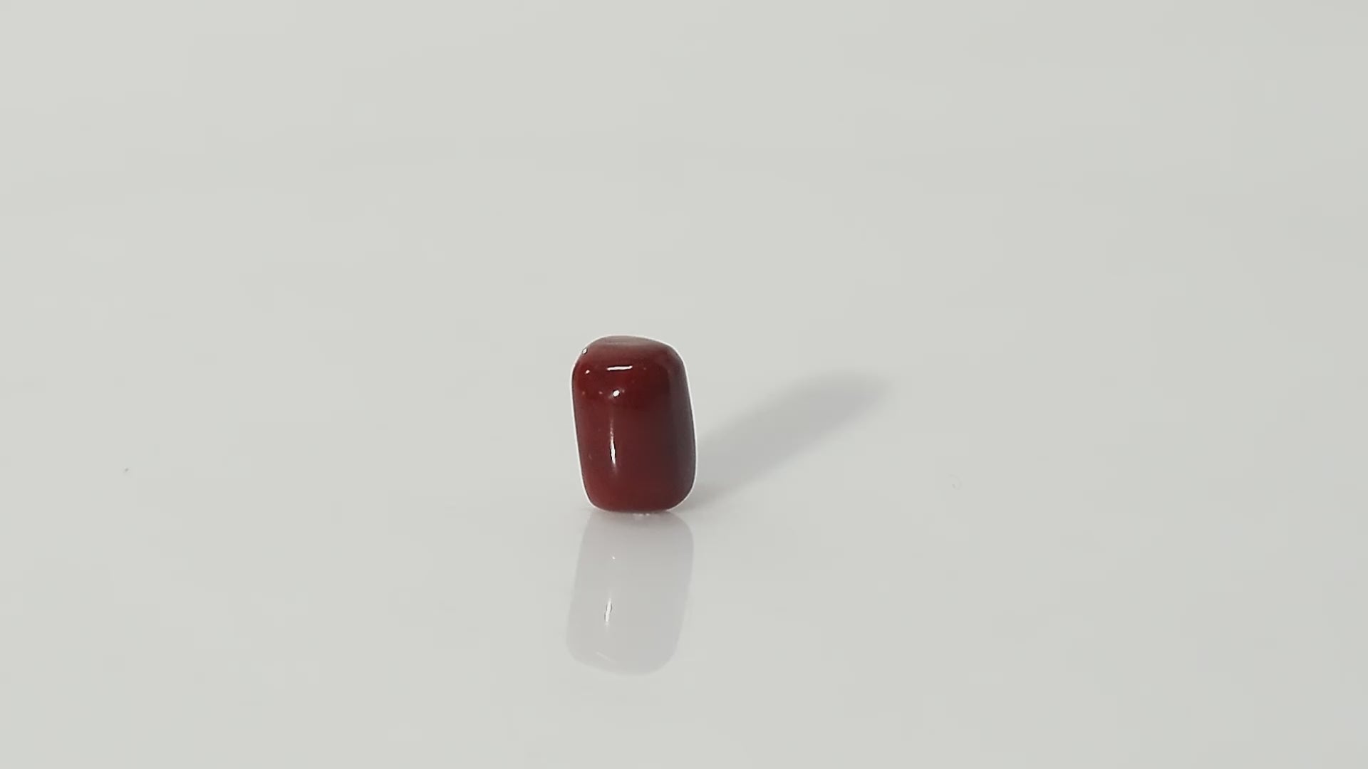 Italian Red Coral - 11.45 Carats