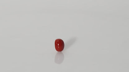 Italian Red Coral - 3.45 Carats