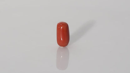 Italian Red Coral - 14.65 Carats