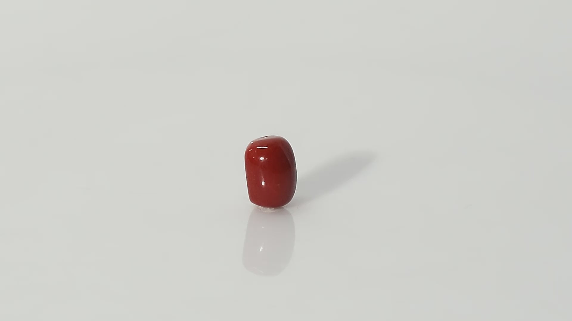 Italian Red Coral - 11.16 Carats