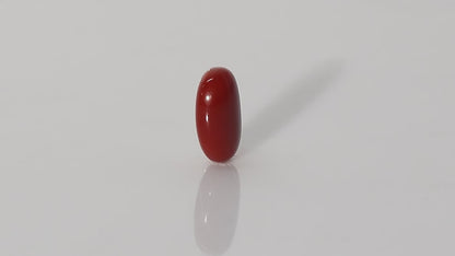 Japanese Red Coral - 8.89 Carats