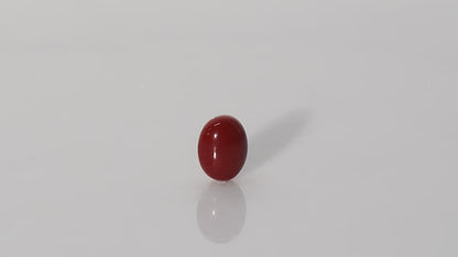 Japanese Red Coral - 6.88 Carats