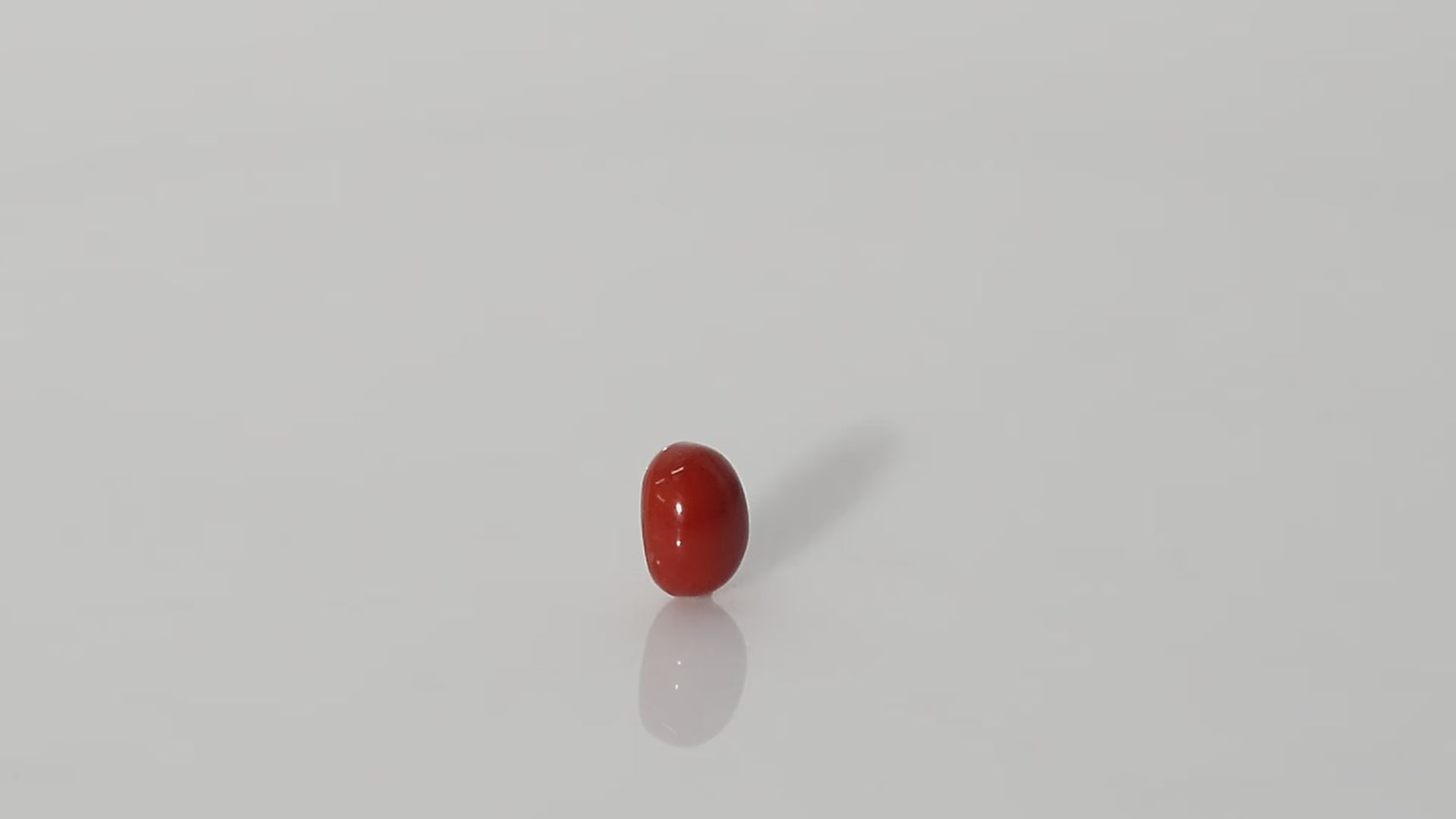 Italian Red Coral - 3.44 Carats