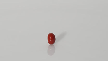 Italian Red Coral - 3.44 Carats