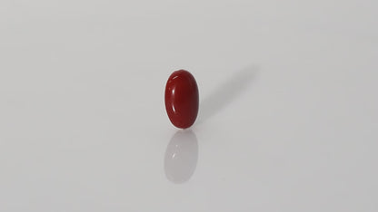 Japanese Red Coral - 8.07 Carats