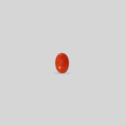 Japanese Red Coral - 1.19 Carats