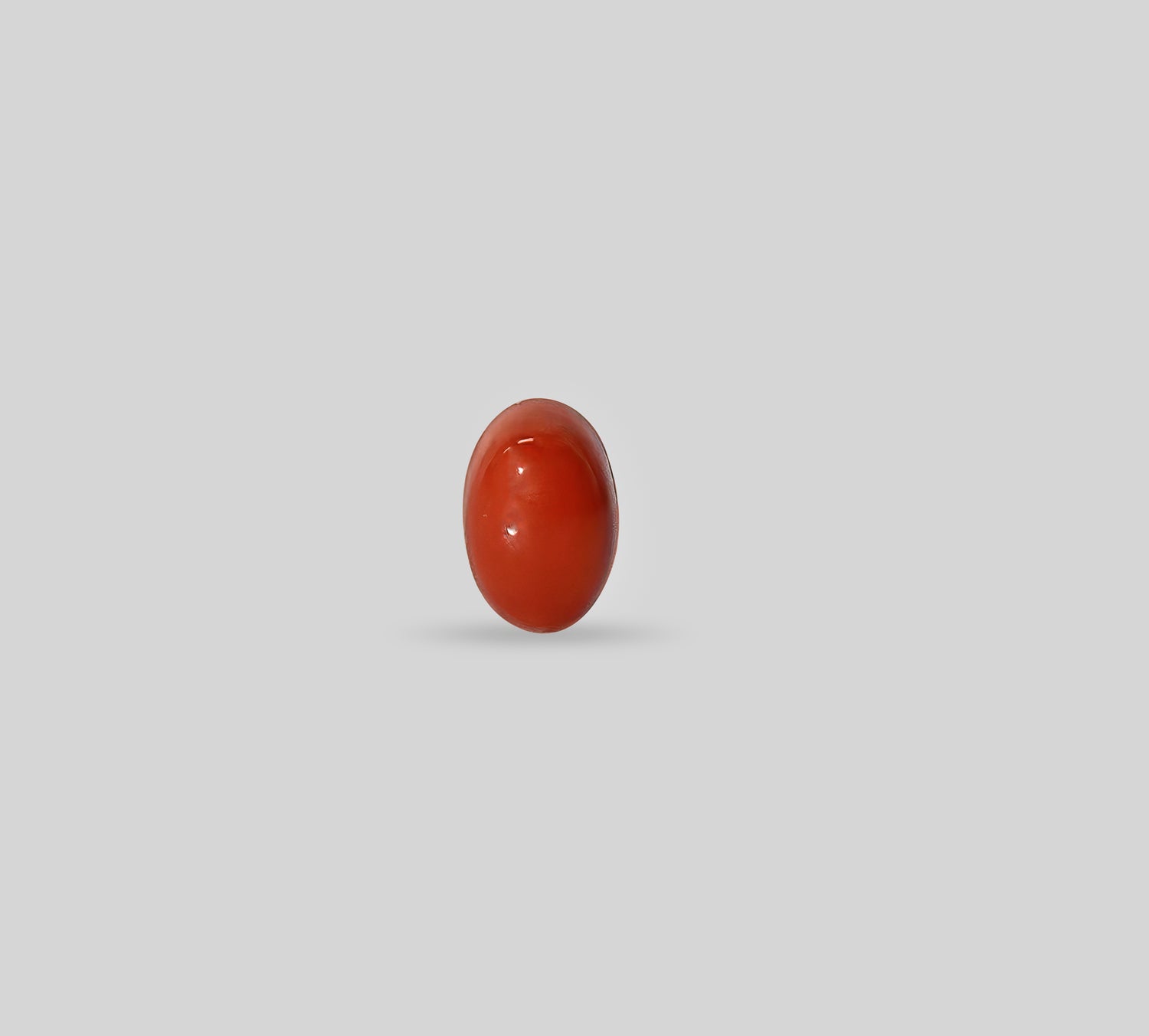Italian Red Coral - 3.25 Carats